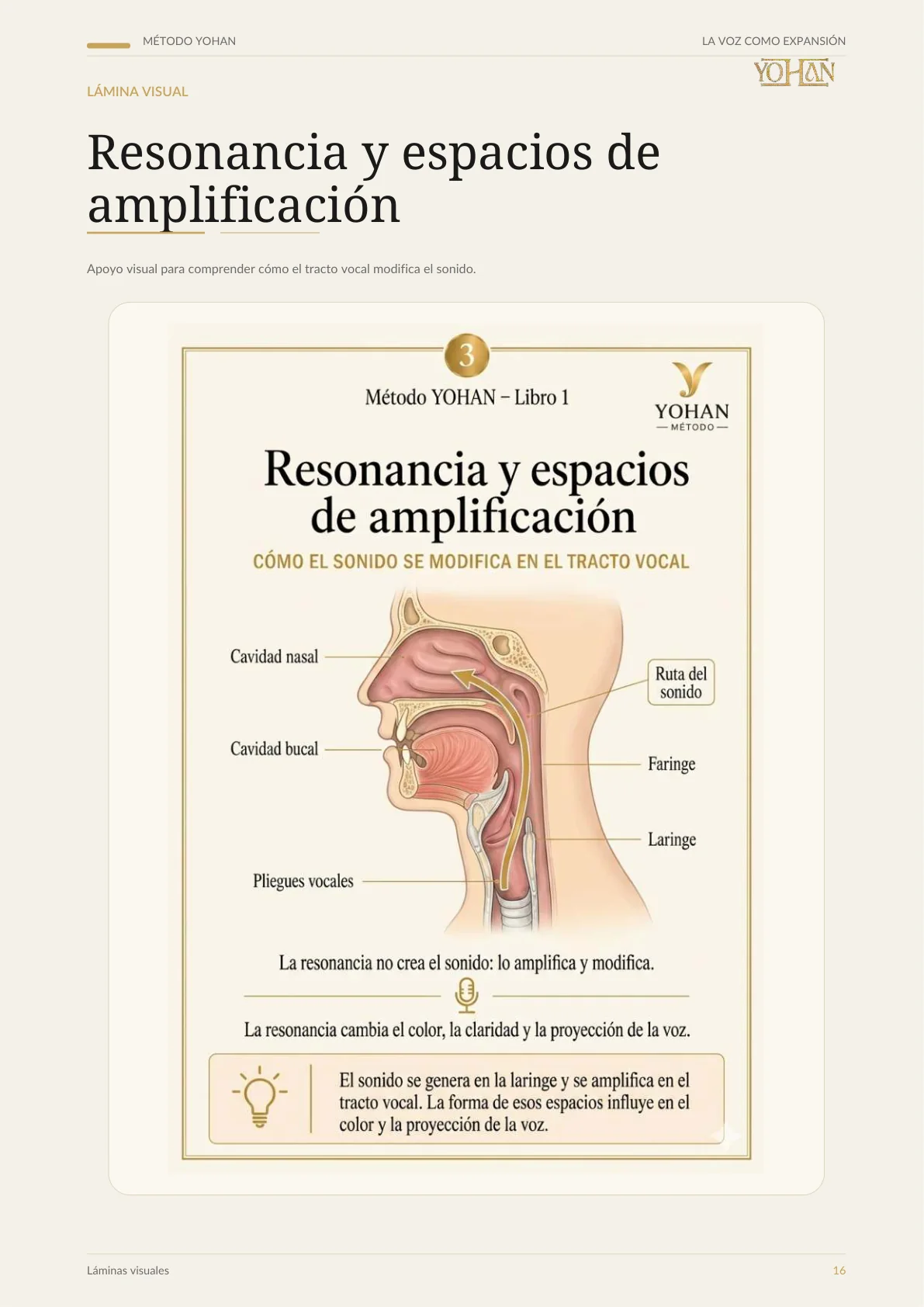 Resonancia y espacios de amplificación