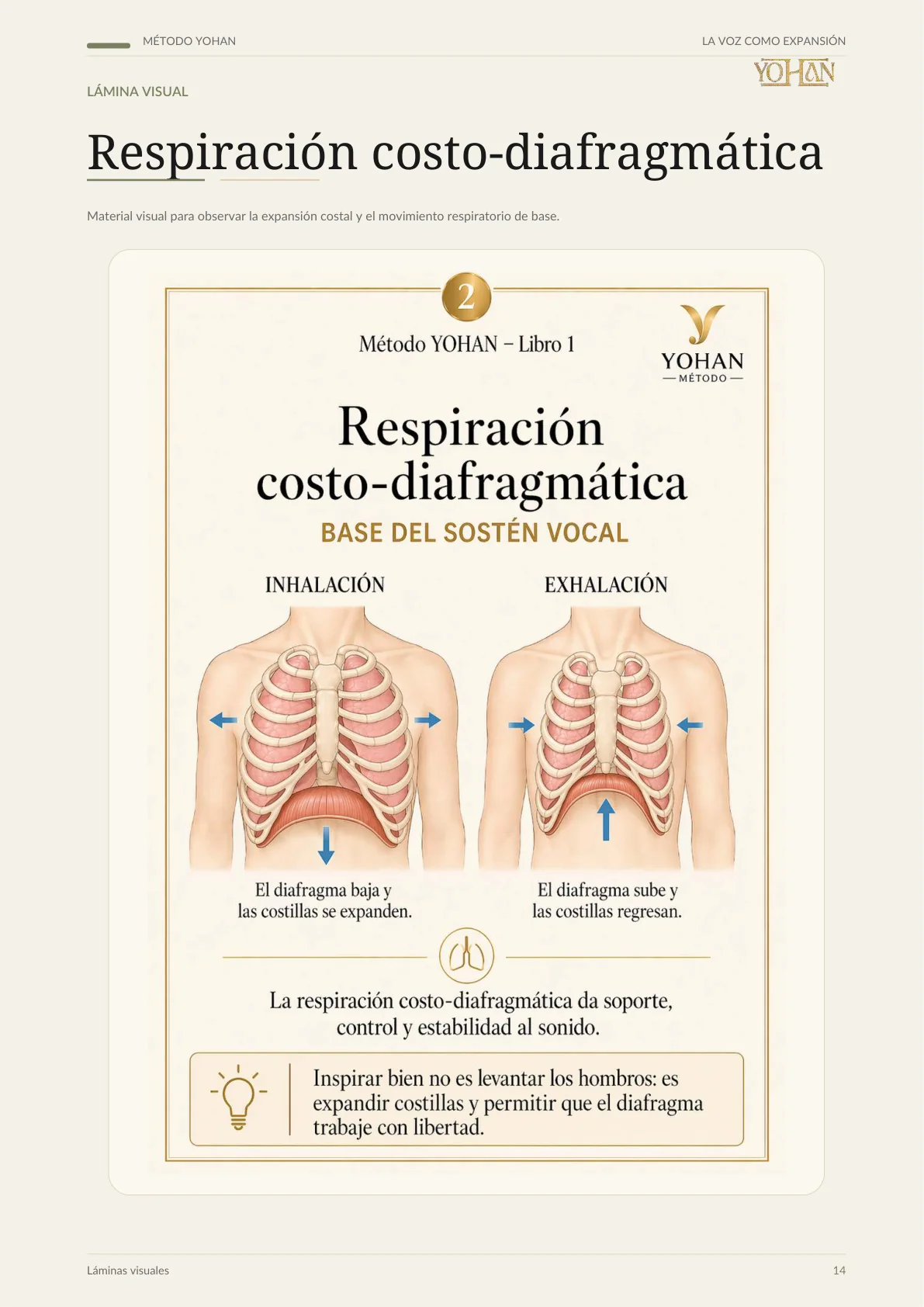 Respiración costo-diafragmática